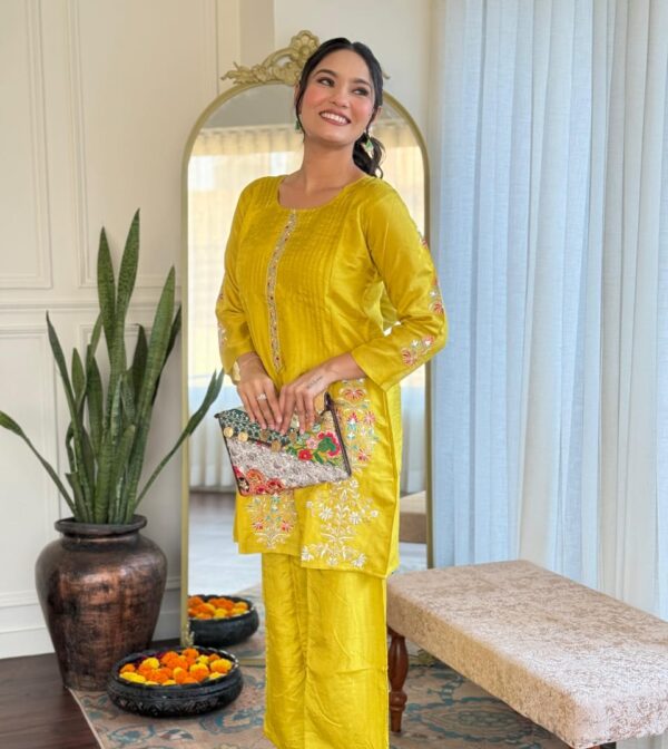Dola Embroidered Co-ord Set - Image 4