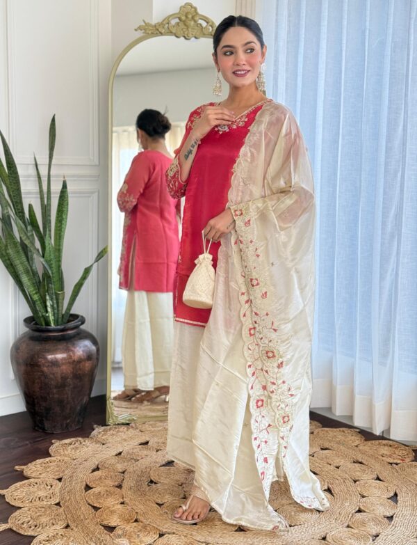 Tissue Embroidered Kurta