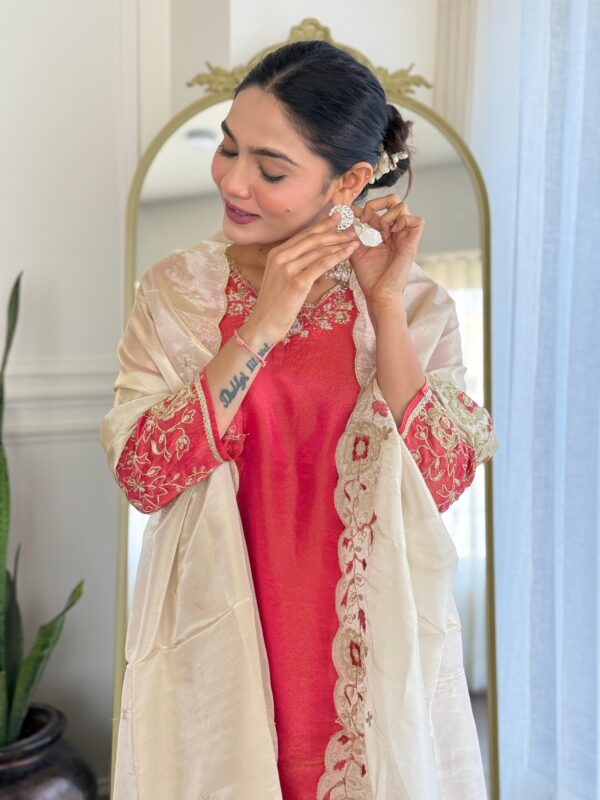 Tissue Embroidered Kurta - Image 4