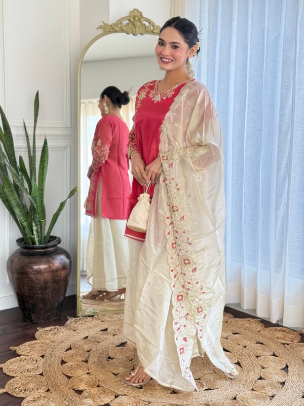Tissue Embroidered Kurta - Image 5